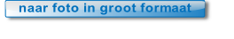 46-47-klas-5-groot.